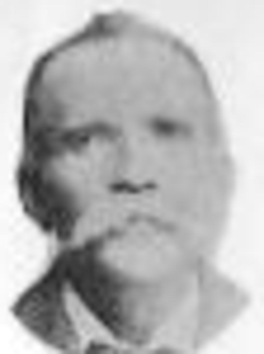 Caleb Elisha Edwards (1849 - 1926) Profile